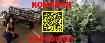 герыч Новокубанск