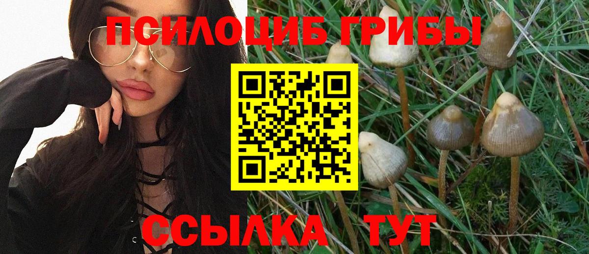 Галлюциногенные грибы мухоморы  Вход с VPN  Оренбург 