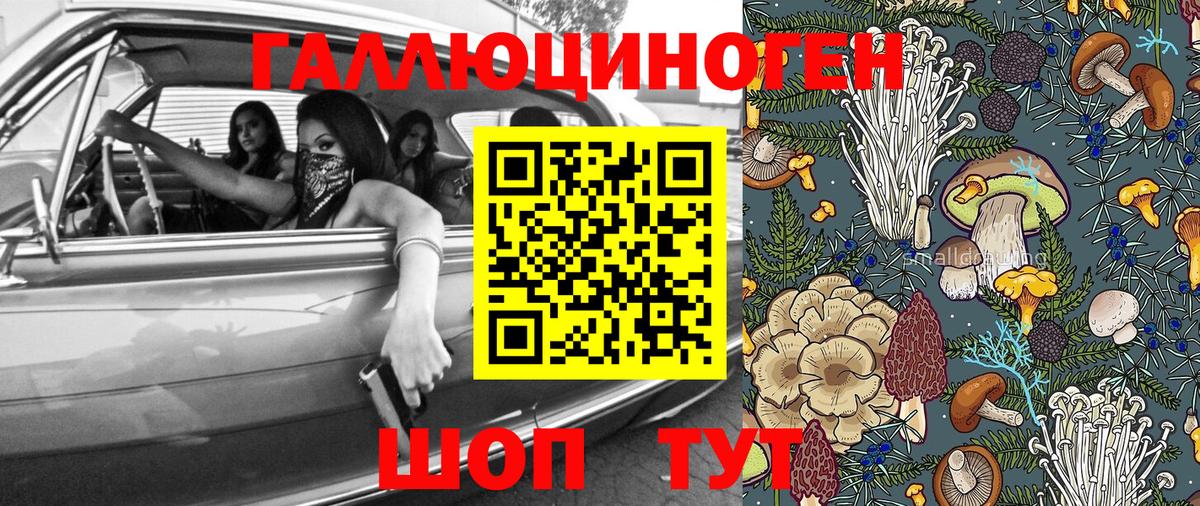 Псилоцибиновые грибы Psilocybe Оренбург